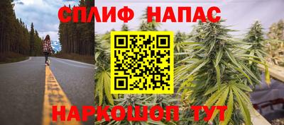 шишки Краснокаменск