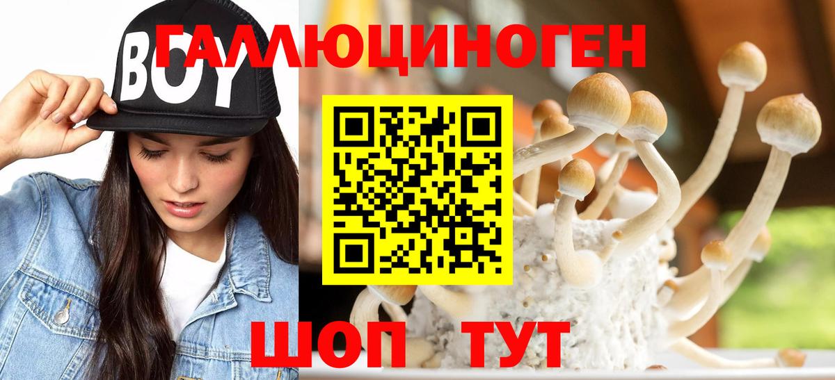 Псилоцибиновые грибы GOLDEN TEACHER  Вход с VPN  Галлюциногенные грибы GOLDEN TEACHER  Шатура 